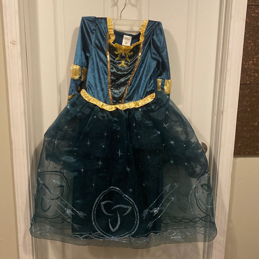 Disney Merida costume